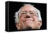 APTOPIX DEM 2016 Sanders-Jacquelyn Martin-Framed Stretched Canvas