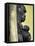 APTOPIX Hungary Newborn Gorilla-Bela Szandelszky-Framed Stretched Canvas