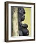 APTOPIX Hungary Newborn Gorilla-Bela Szandelszky-Framed Photographic Print