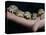 APTOPIX Italy Libya Baby Tortoises-Pier Paolo Cito-Stretched Canvas