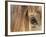 APTOPIX Mustangs Savior-Ann Heisenfelt-Framed Photographic Print