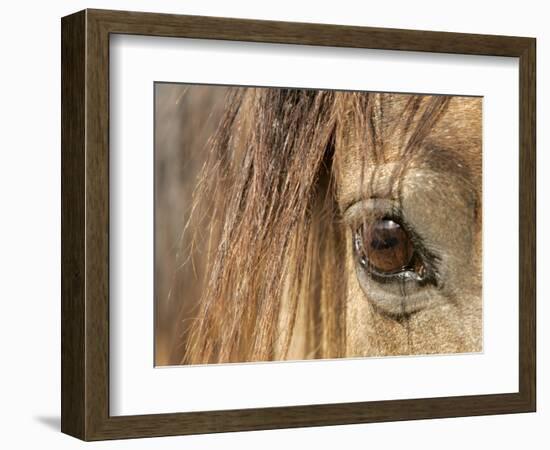 APTOPIX Mustangs Savior-Ann Heisenfelt-Framed Photographic Print