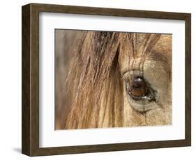 APTOPIX Mustangs Savior-Ann Heisenfelt-Framed Photographic Print