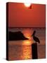 APTOPIX Pontchartrain Sunset-Ann Heisenfelt-Stretched Canvas