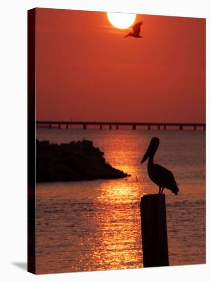 APTOPIX Pontchartrain Sunset-Ann Heisenfelt-Stretched Canvas