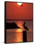 APTOPIX Pontchartrain Sunset-Ann Heisenfelt-Framed Stretched Canvas