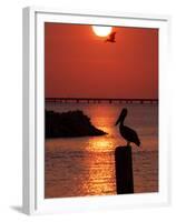 APTOPIX Pontchartrain Sunset-Ann Heisenfelt-Framed Premium Photographic Print