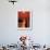 APTOPIX Pontchartrain Sunset-Ann Heisenfelt-Framed Premium Photographic Print displayed on a wall