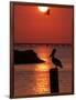 APTOPIX Pontchartrain Sunset-Ann Heisenfelt-Framed Photographic Print