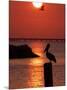 APTOPIX Pontchartrain Sunset-Ann Heisenfelt-Mounted Photographic Print