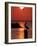 APTOPIX Pontchartrain Sunset-Ann Heisenfelt-Framed Photographic Print