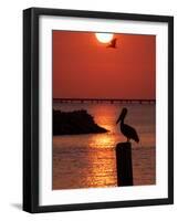 APTOPIX Pontchartrain Sunset-Ann Heisenfelt-Framed Photographic Print