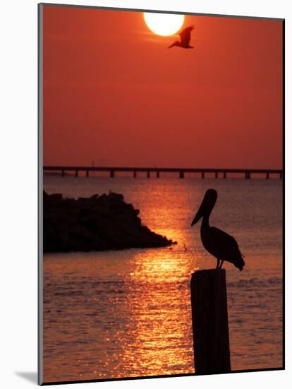 APTOPIX Pontchartrain Sunset-Ann Heisenfelt-Mounted Photographic Print