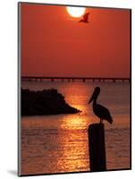 APTOPIX Pontchartrain Sunset-Ann Heisenfelt-Mounted Photographic Print