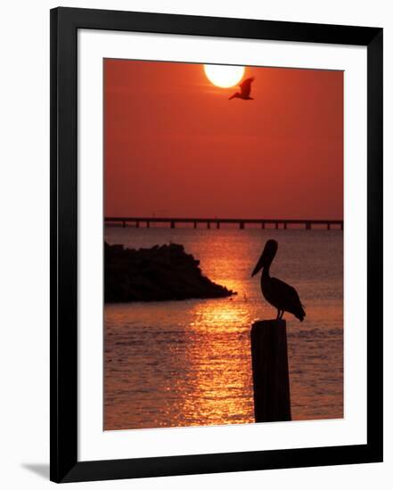 APTOPIX Pontchartrain Sunset-Ann Heisenfelt-Framed Photographic Print