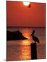 APTOPIX Pontchartrain Sunset-Ann Heisenfelt-Mounted Photographic Print