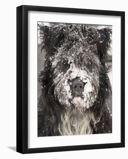 APTOPIX Romania Weather-Vadim Ghirda-Framed Photographic Print