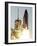 APTOPIX Space Shuttle-Terry Renna-Framed Photographic Print