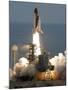 APTOPIX Space Shuttle-Chris O'Meara-Mounted Photographic Print