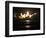 APTOPIX Space Shuttle-John Raoux-Framed Photographic Print