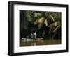 APTOPIX Sri Lanka Daily Life-Eranga Jayawardena-Framed Photographic Print