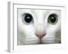 APTOPIX Turkey Bird Flu Van Cat-Pier Paolo Cito-Framed Photographic Print