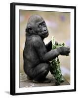 APTOPIX Zoo President Kiki-Elise Amendola-Framed Premium Photographic Print