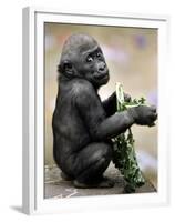 APTOPIX Zoo President Kiki-Elise Amendola-Framed Premium Photographic Print