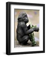 APTOPIX Zoo President Kiki-Elise Amendola-Framed Premium Photographic Print