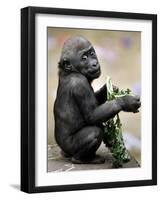 APTOPIX Zoo President Kiki-Elise Amendola-Framed Photographic Print