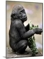 APTOPIX Zoo President Kiki-Elise Amendola-Mounted Photographic Print