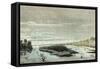 Apu-Paro River, 1869, Peru-null-Framed Stretched Canvas