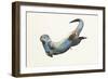 Aqua, 2014-Mark Adlington-Framed Premium Giclee Print