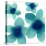Aqua Blooms I-Hannah Carlson-Stretched Canvas