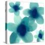 Aqua Blooms II-Hannah Carlson-Stretched Canvas