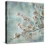 Aqua Blossoms I-John Seba-Stretched Canvas