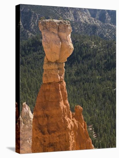 Aqua Canyon, Bryce Canyon National Park, Utah, United States of America, North America-Richard Maschmeyer-Stretched Canvas