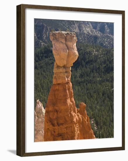 Aqua Canyon, Bryce Canyon National Park, Utah, United States of America, North America-Richard Maschmeyer-Framed Photographic Print