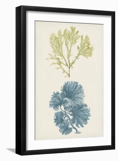 Aqua & Citron Coral I-Vision Studio-Framed Art Print