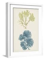 Aqua & Citron Coral I-Vision Studio-Framed Art Print