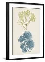 Aqua & Citron Coral I-Vision Studio-Framed Art Print