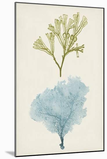 Aqua & Citron Coral II-Vision Studio-Mounted Art Print