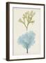 Aqua & Citron Coral II-Vision Studio-Framed Art Print