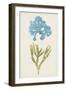 Aqua & Citron Coral III-Vision Studio-Framed Art Print