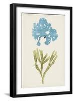 Aqua & Citron Coral III-Vision Studio-Framed Art Print