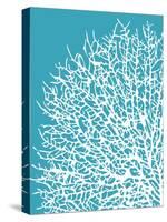 Aqua Coral I-Sabine Berg-Stretched Canvas