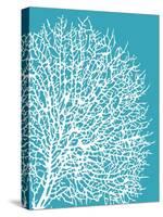 Aqua Coral II-Sabine Berg-Stretched Canvas