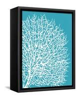 Aqua Coral II-Sabine Berg-Framed Stretched Canvas