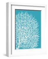 Aqua Coral II-Sabine Berg-Framed Art Print