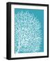 Aqua Coral II-Sabine Berg-Framed Art Print